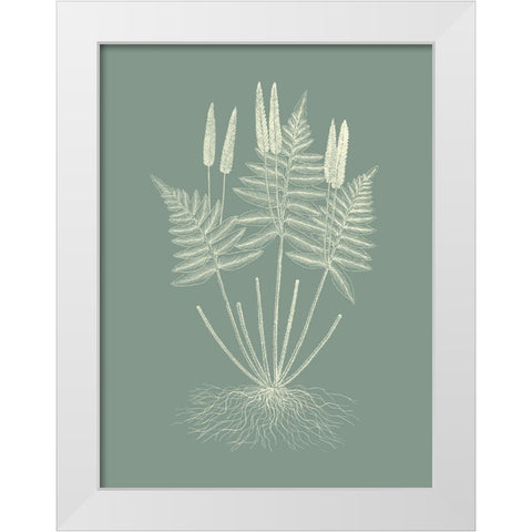 Ferns on Sage VII White Modern Wood Framed Art Print by Vision Studio