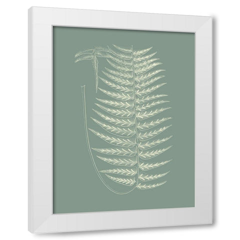 Ferns on Sage VIII White Modern Wood Framed Art Print by Vision Studio