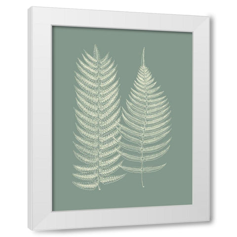 Ferns on Sage IX White Modern Wood Framed Art Print by Vision Studio