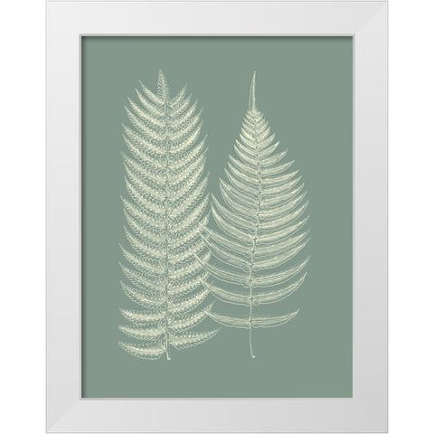 Ferns on Sage IX White Modern Wood Framed Art Print by Vision Studio