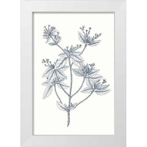 Indigo Botany Study III White Modern Wood Framed Art Print by Vision Studio