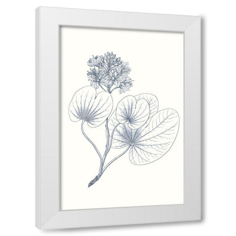 Indigo Botany Study IV White Modern Wood Framed Art Print by Vision Studio