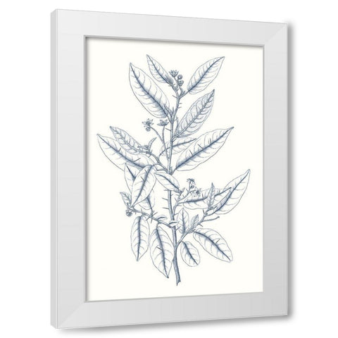 Indigo Botany Study V White Modern Wood Framed Art Print by Vision Studio