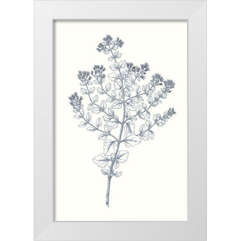 Indigo Botany Study VI White Modern Wood Framed Art Print by Vision Studio