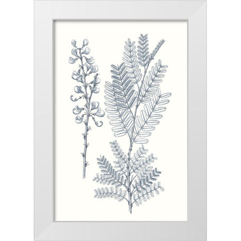 Indigo Botany Study VII White Modern Wood Framed Art Print by Vision Studio