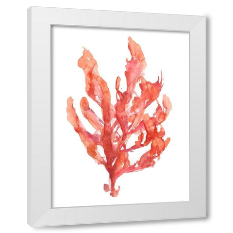 Coral Kelp I White Modern Wood Framed Art Print by Goldberger, Jennifer