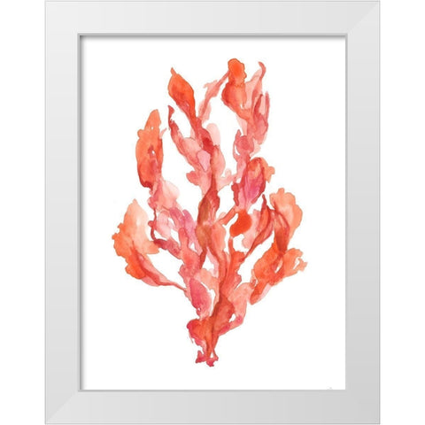 Coral Kelp II White Modern Wood Framed Art Print by Goldberger, Jennifer