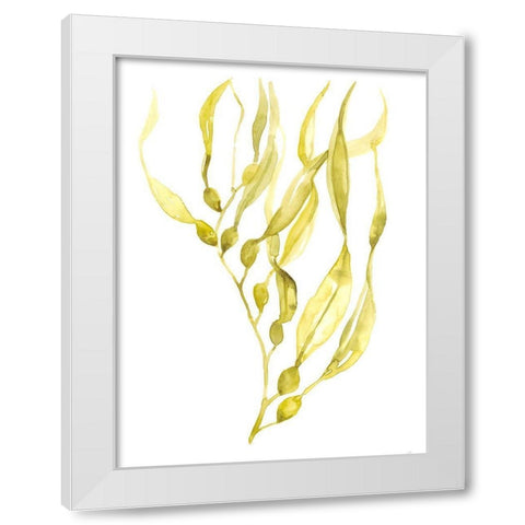 Olive Sea Kelp I White Modern Wood Framed Art Print by Goldberger, Jennifer