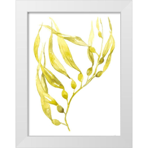 Olive Sea Kelp II White Modern Wood Framed Art Print by Goldberger, Jennifer