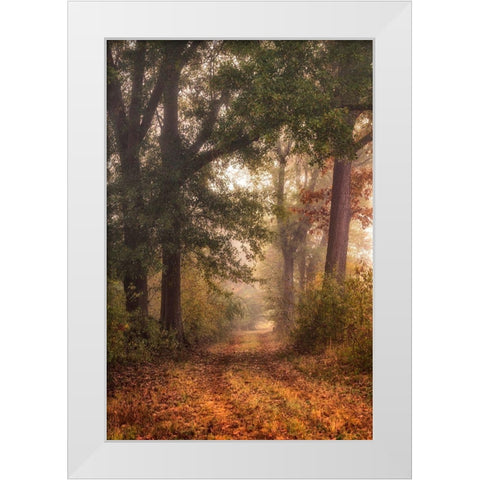 Autumns Walk I White Modern Wood Framed Art Print by Head, Danny