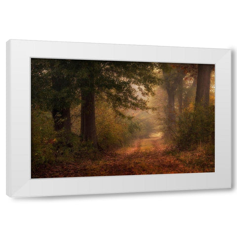 Autumns Walk III White Modern Wood Framed Art Print by Head, Danny