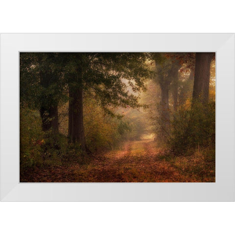 Autumns Walk III White Modern Wood Framed Art Print by Head, Danny