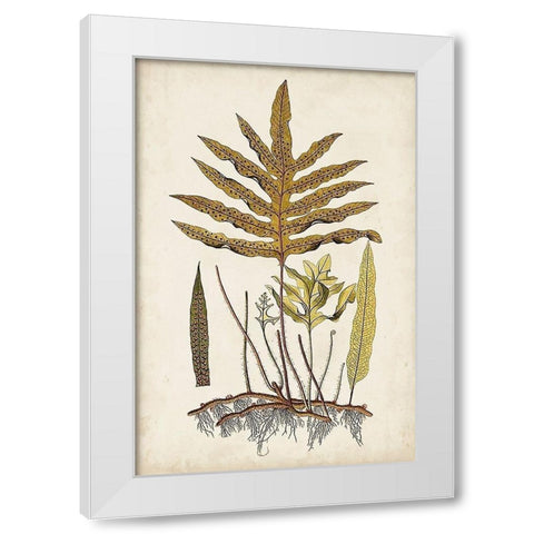 Fern Botanical I White Modern Wood Framed Art Print by Vision Studio