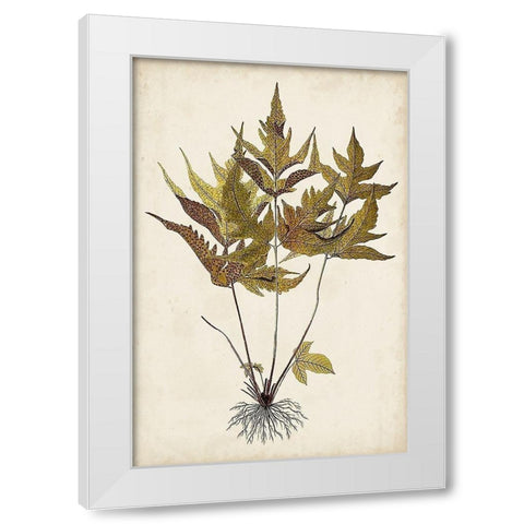 Fern Botanical II White Modern Wood Framed Art Print by Vision Studio