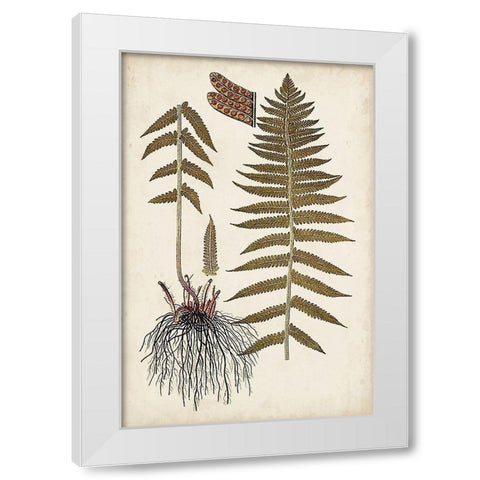Fern Botanical V White Modern Wood Framed Art Print by Vision Studio