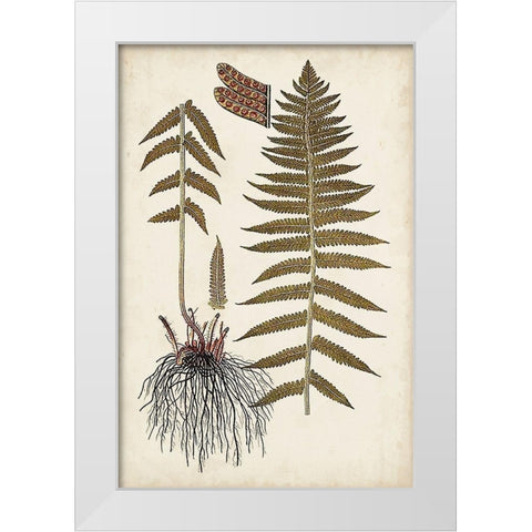 Fern Botanical V White Modern Wood Framed Art Print by Vision Studio