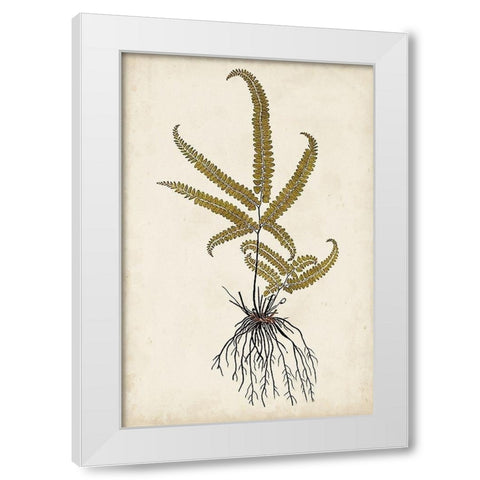 Fern Botanical VI White Modern Wood Framed Art Print by Vision Studio