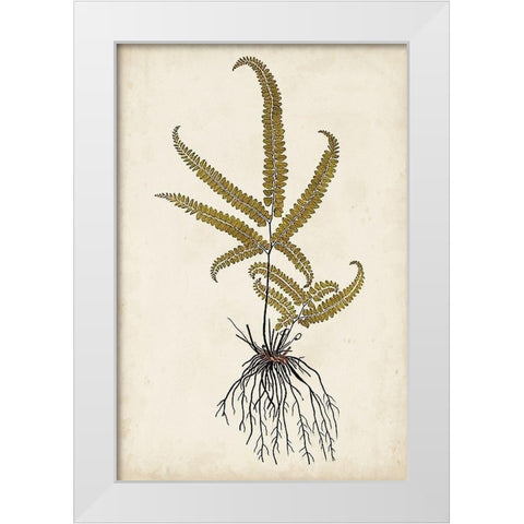 Fern Botanical VI White Modern Wood Framed Art Print by Vision Studio