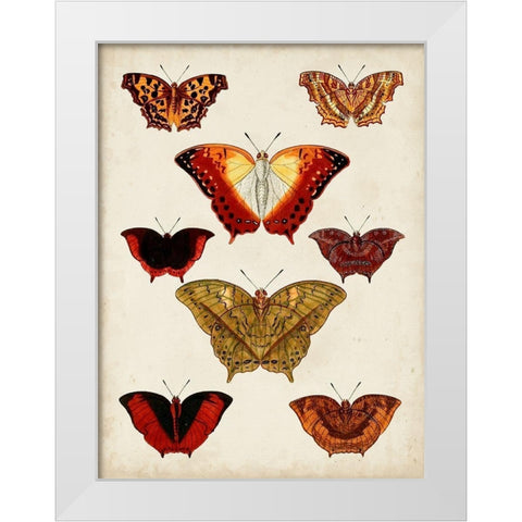Butterflies Displayed I White Modern Wood Framed Art Print by Vision Studio