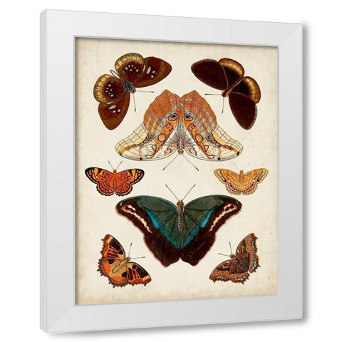 Butterflies Displayed II White Modern Wood Framed Art Print by Vision Studio