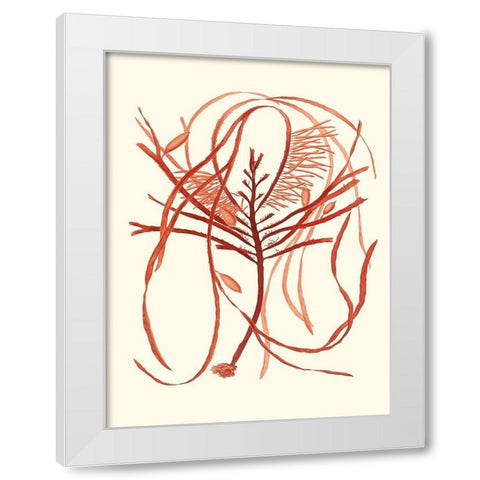 Coral Seaweed I White Modern Wood Framed Art Print by Vision Studio