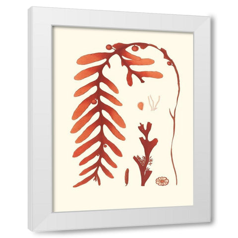 Coral Seaweed II White Modern Wood Framed Art Print by Vision Studio