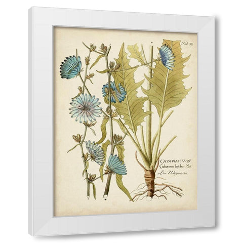 Eloquent Botanical I White Modern Wood Framed Art Print by Vision Studio