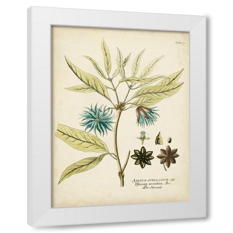 Eloquent Botanical III White Modern Wood Framed Art Print by Vision Studio