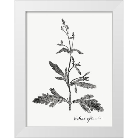 Botanical Imprint III White Modern Wood Framed Art Print by Vision Studio