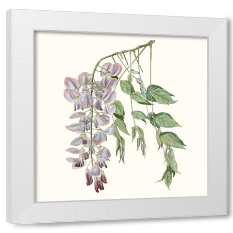 Graceful Botanical II White Modern Wood Framed Art Print by Vision Studio