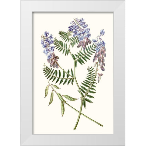 Graceful Botanical V White Modern Wood Framed Art Print by Vision Studio