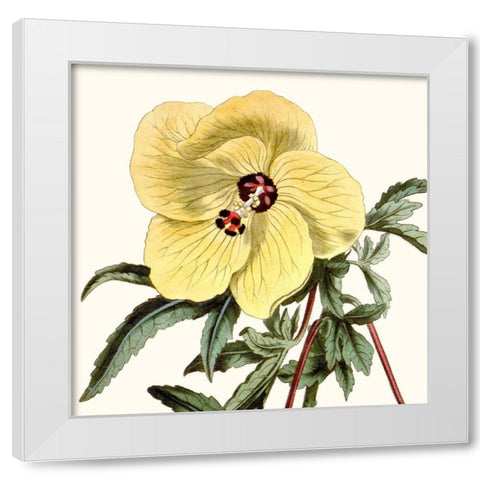 Cropped Antique Botanical VII White Modern Wood Framed Art Print by Vision Studio