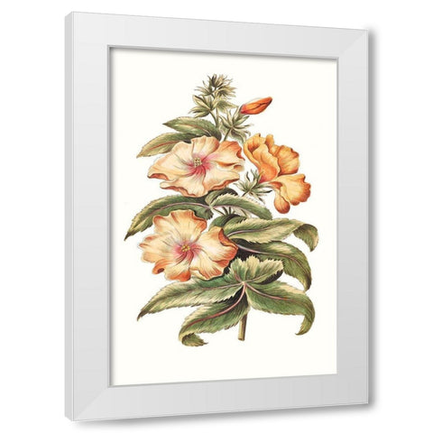 Flowering Hibiscus I White Modern Wood Framed Art Print by Unknown
