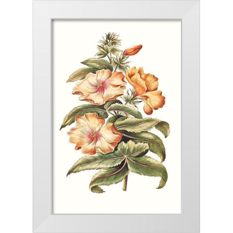 Flowering Hibiscus I White Modern Wood Framed Art Print by Unknown