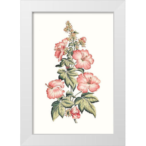 Flowering Hibiscus II White Modern Wood Framed Art Print by Unknown