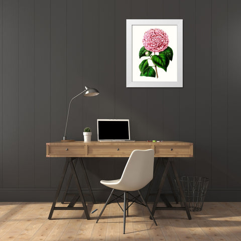 Grand Blooms II White Modern Wood Framed Art Print by Unknown