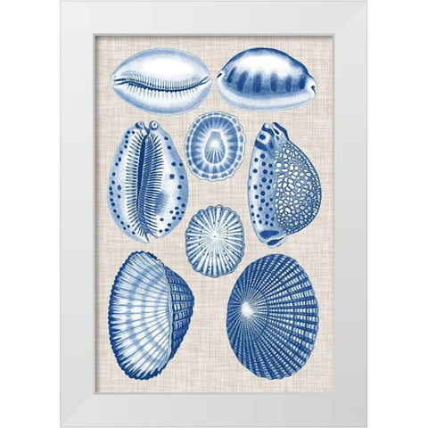 Navy and Linen Shells I White Modern Wood Framed Art Print by Vision Studio
