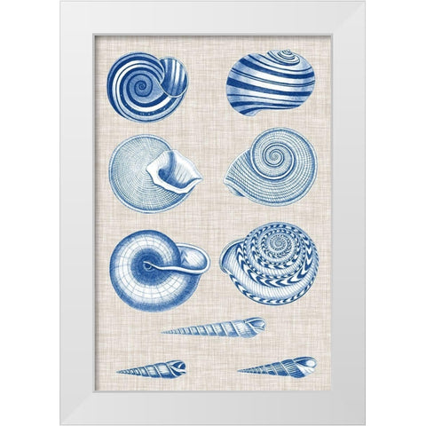 Navy and Linen Shells V White Modern Wood Framed Art Print by Vision Studio