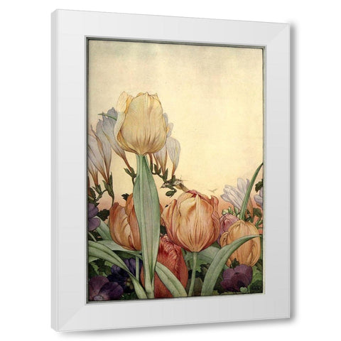 Garden Fantasy I White Modern Wood Framed Art Print by Unknown