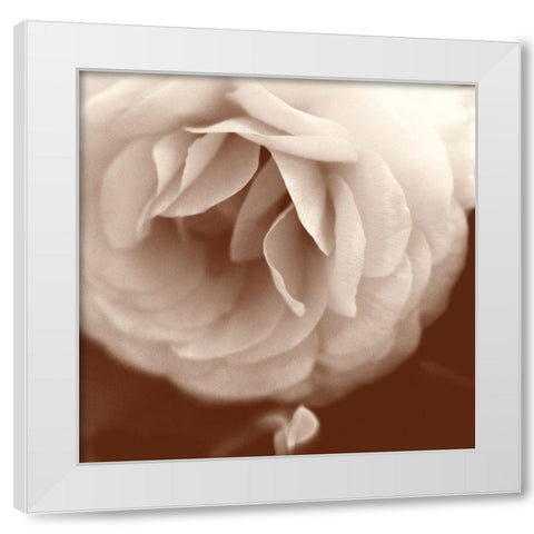 Sepia Rapture II White Modern Wood Framed Art Print by Stalus, Judy