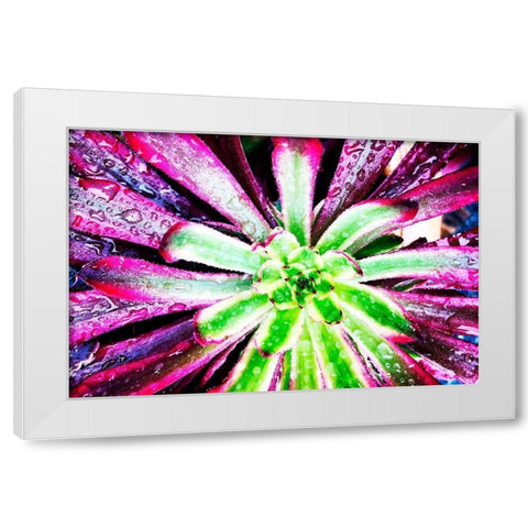 Bright Exotic I White Modern Wood Framed Art Print by Orlov, Irena
