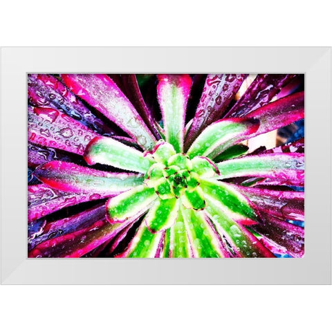 Bright Exotic I White Modern Wood Framed Art Print by Orlov, Irena