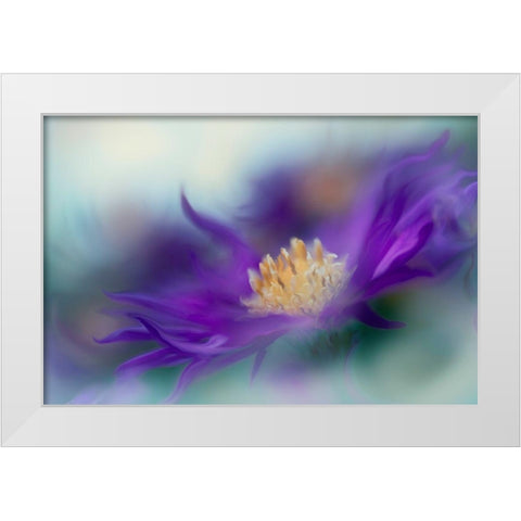 Gold and Purple in the Mist I White Modern Wood Framed Art Print by Hunt, Gillian
