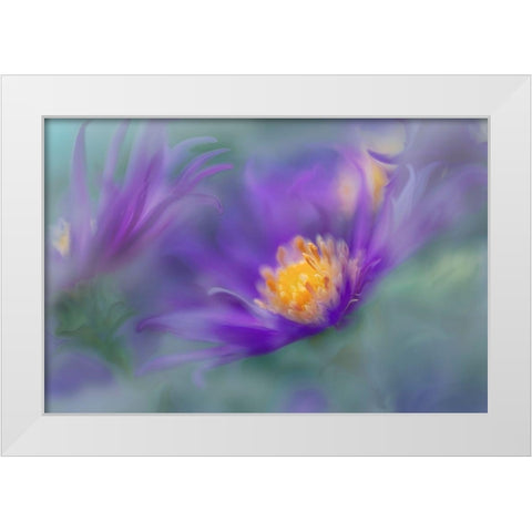 Gold and Purple in the Mist II White Modern Wood Framed Art Print by Hunt, Gillian