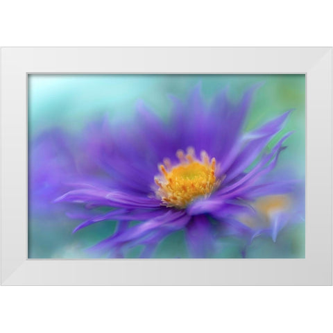 Gold and Purple in the Mist V White Modern Wood Framed Art Print by Hunt, Gillian
