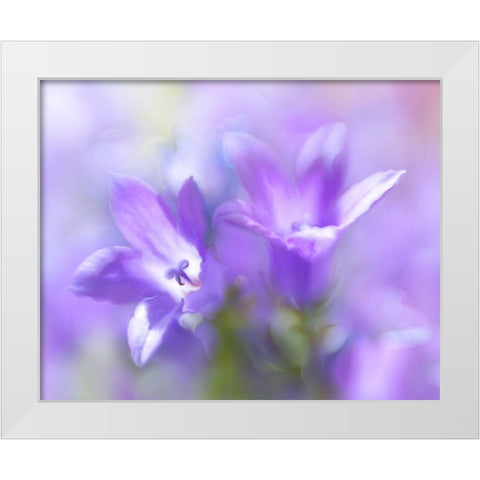 Ring the Bells of Change I White Modern Wood Framed Art Print by Hunt, Gillian