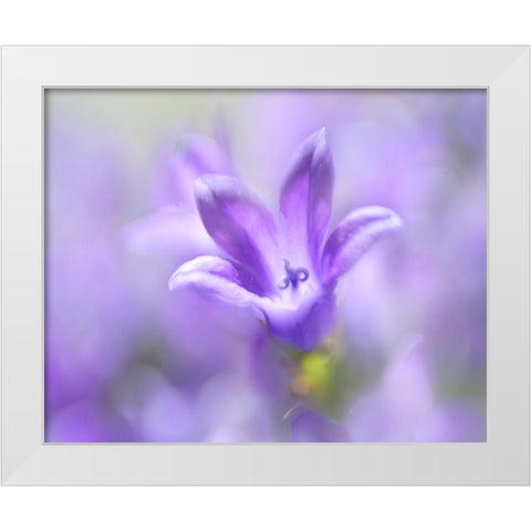 Ring the Bells of Change II White Modern Wood Framed Art Print by Hunt, Gillian