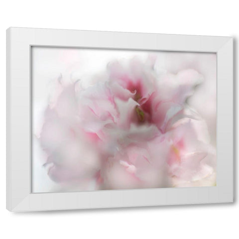 Hope in Pink I White Modern Wood Framed Art Print by Hunt, Gillian