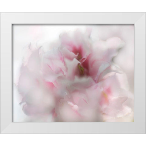 Hope in Pink I White Modern Wood Framed Art Print by Hunt, Gillian