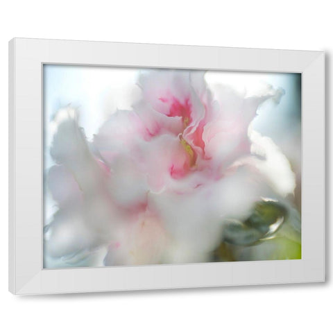 Hope in Pink II White Modern Wood Framed Art Print by Hunt, Gillian